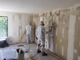 Best Post-Construction Mold Inspection  in Ashburn, GA